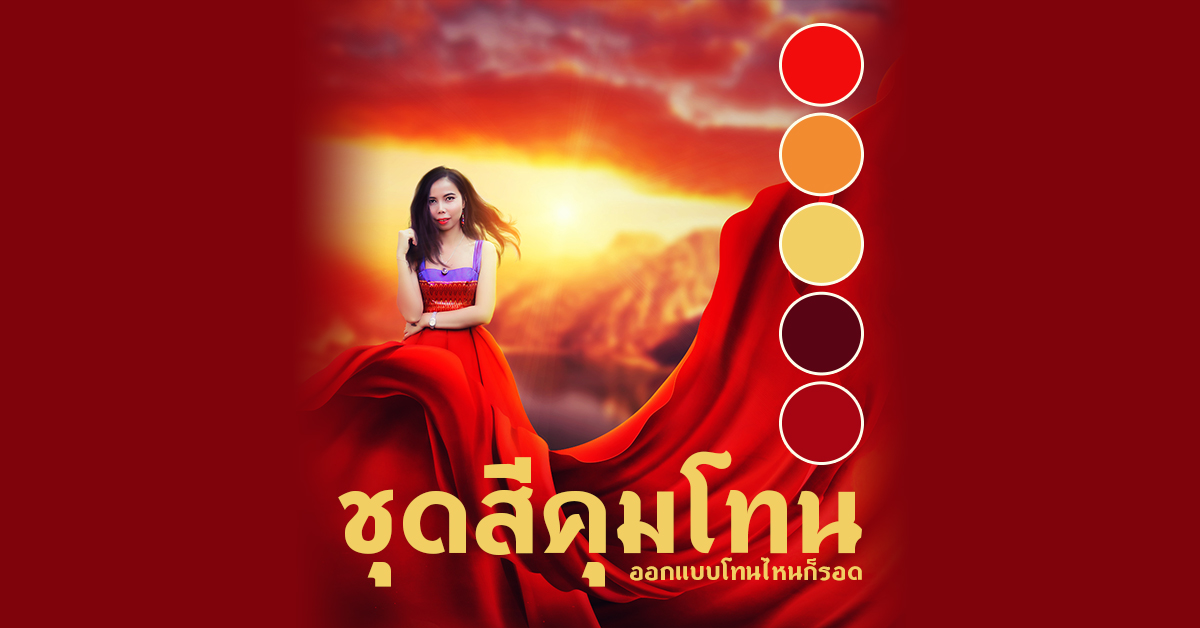 ชุดสีคุมโทน